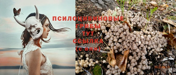альфа пвп Нефтегорск