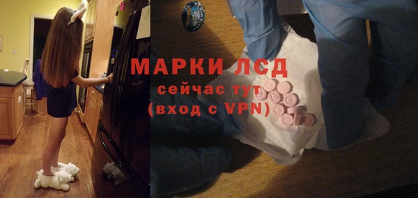 мяу мяу мука Нея